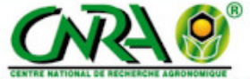 CNRA - Côte d'Ivoire logo